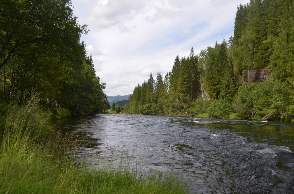 Døskelandslia Camping Sygna Eksteriør billede